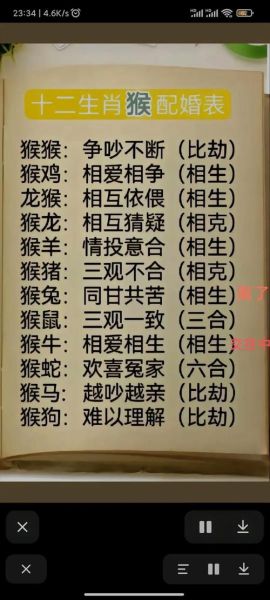 生肖猴相配属相（生肖猴和什么属相最配？）