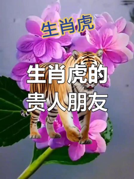 父母生肖龙虎孩子属相（父母属龙虎生什么宝宝最好 🐉🐯）