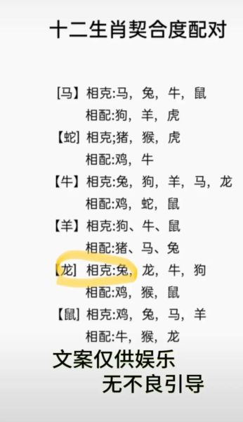 生肖龙和兔属相合不合适（生肖龙和兔合不合婚配）