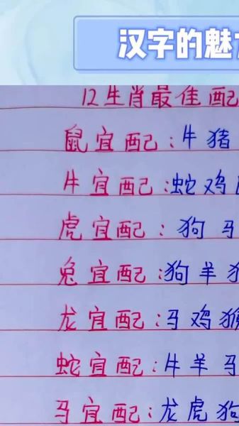 生肖马最佳配对男女属相(生肖马最佳男女配对:属相大揭秘👀)