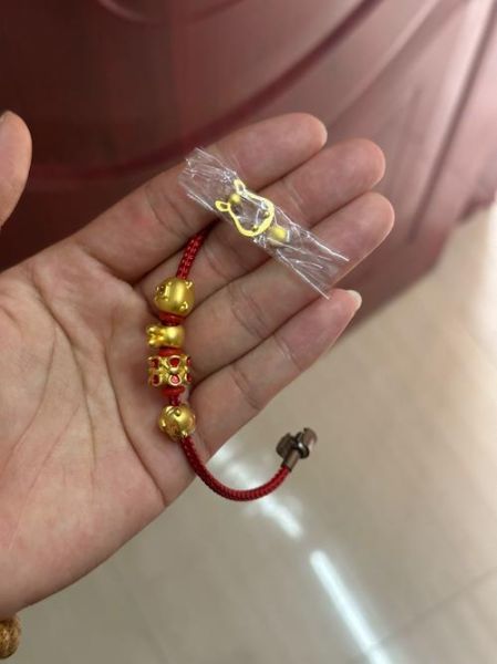 黄金生肖属相是什么（黄金生肖属相是什么？新手一看就懂）