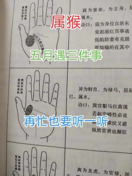 生肖属相猴什么命（属猴是什么命五行属性详解）