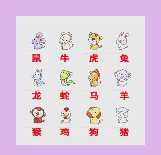 生肖卡的属相怎么看（生肖卡属相快速对照攻略）