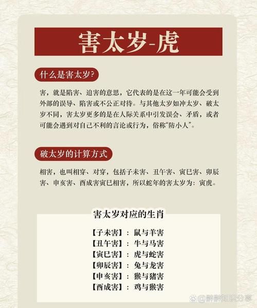 梅姨属什么生肖属相（“梅姨属什么生肖”完整解答速查）