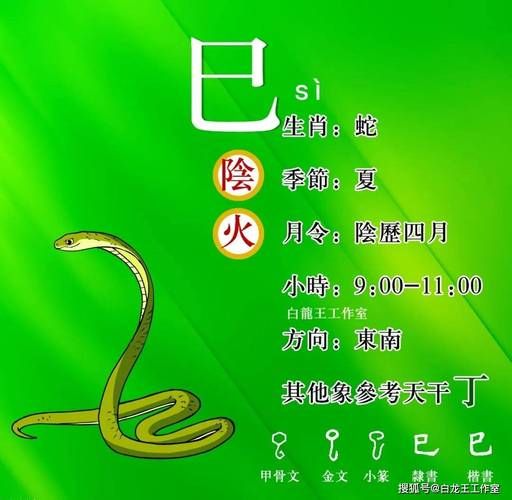 己巳月属什么生肖属相（己巳月属什么生肖属蛇🔥）