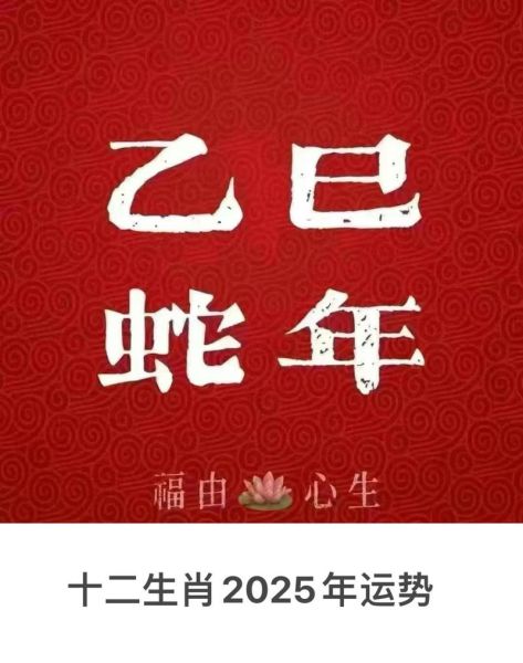 近期好运的属相女性生肖（近期最旺属相女性——属蛇好运爆发全攻略）