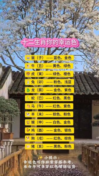 生肖适合颜色的属相（生肖适合什么颜色最旺运）