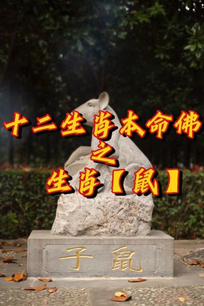 十二生肖守护属相（鼠年出生戴什么生肖守护神最好）