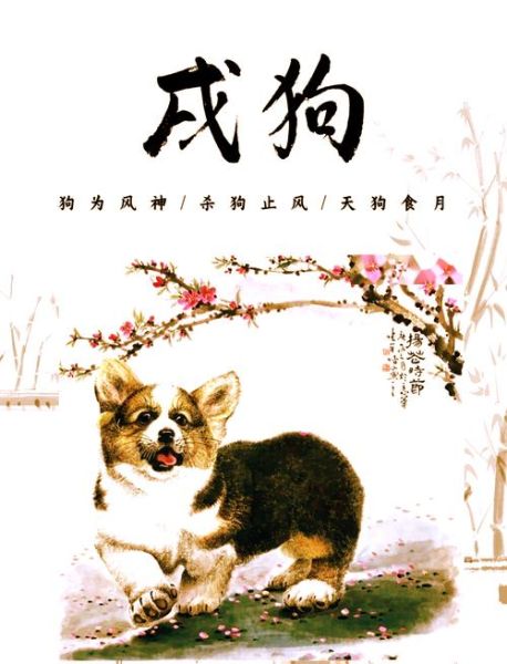 生肖狗跟那个属相不合（生肖狗和龙真的相克吗）