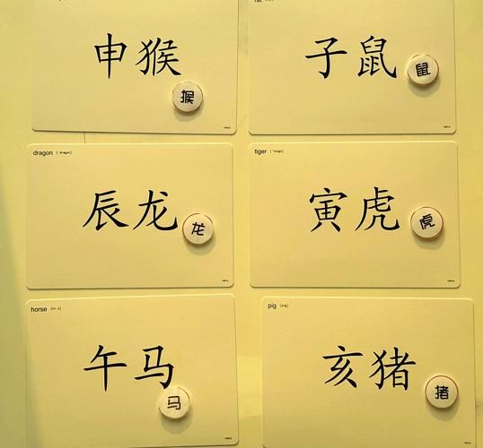 快速查生肖属相步骤(一分钟教你查生肖属相的方法)