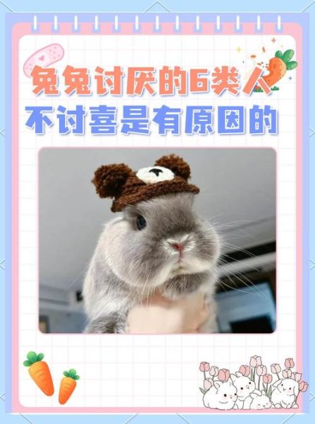生肖兔讨厌啥属相的人（生肖兔最讨厌哪个属相）