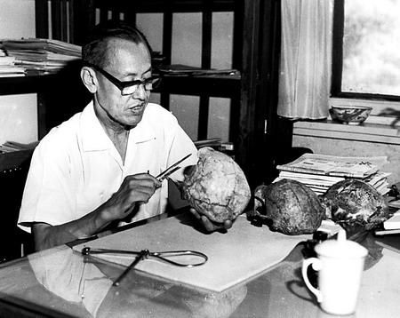 吴汝康什么生肖属相（吴汝康属什么属相）