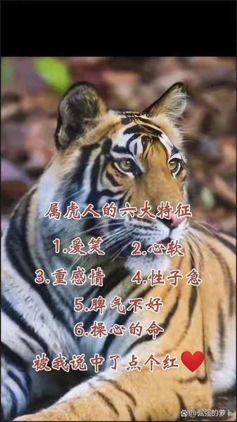 长孙无忌属相什么生肖（长孙无忌属什么生肖属虎）