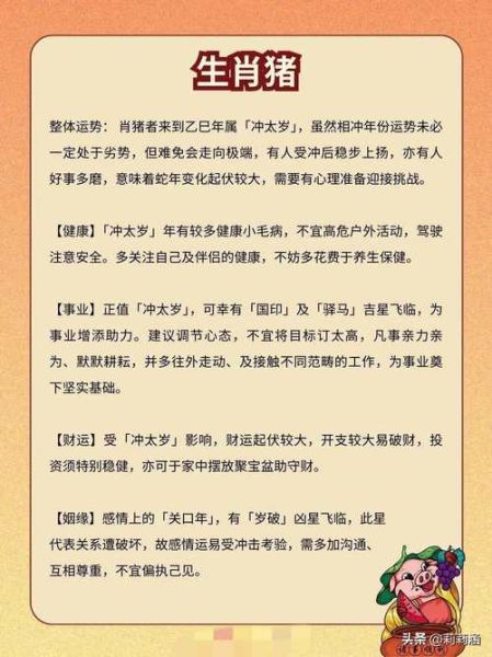 属相猪兔年注意什么生肖（猪2025年兔年犯冲生肖避坑指南）