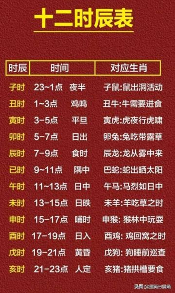 地支生肖属相表（地支生肖属相表查询入门🚀）