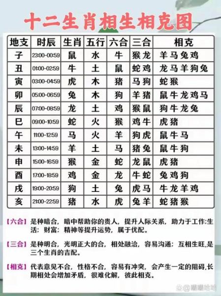 生肖属相相配相克（属龙和属狗真的相克吗😱）