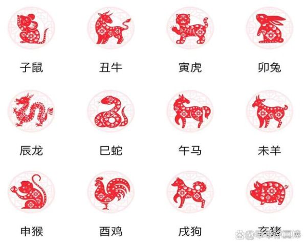 壬己属什么生肖属相