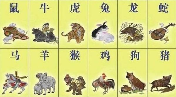 孙子属什么生肖属相