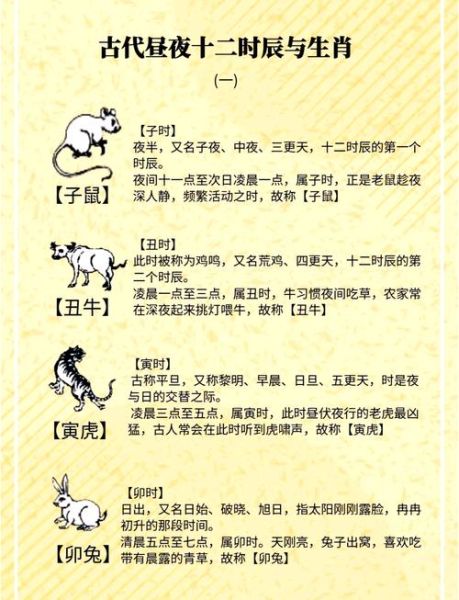 命局分析十二生肖属相（属鼠命局特点与运势全解）