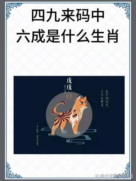 生肖中鸡与猪属相合不合（生肖鸡与猪合不合？新手超白话版配对指南）