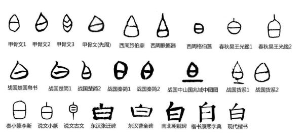 白字属什么生肖属相（白字属什么生肖属相？速查指南）