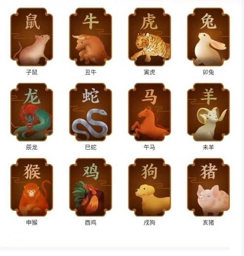 346属相是什么生肖(346属什么生肖?速查指南)