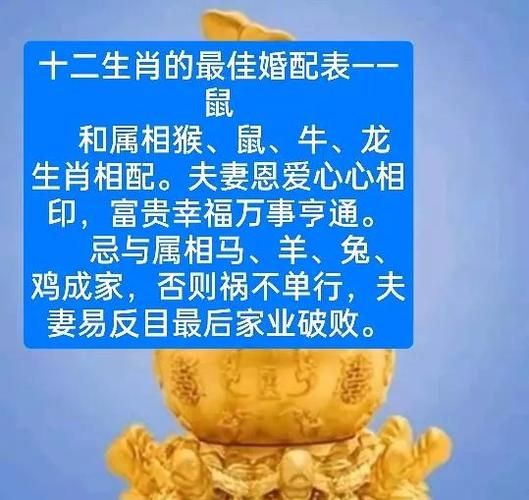 生肖与什么属相最好（生肖鼠与什么属相最好婚配）