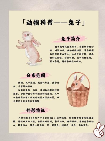 十二生肖之兔子属相（兔子属相的性格特点有哪些？）