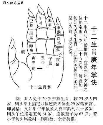 古天乐属什么生肖属相(古天乐属什么生肖?小白速查版)