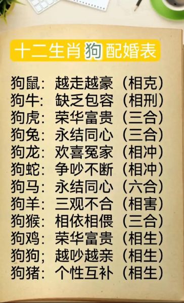 生肖属相合不合怎么看呢（生肖属相合不合怎么看最简单）