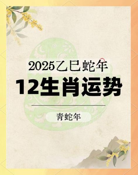什么是二五开局生肖属相（2025年属什么生肖）