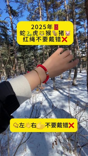 生肖猪红绳戴什么属相(生肖猪2024红绳佩戴禁忌属相)