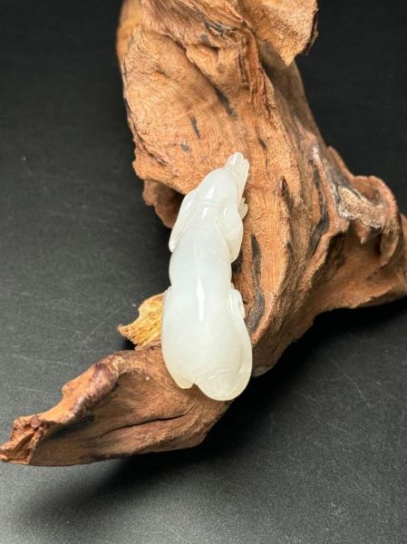 生肖属相狗佩戴（属狗戴什么玉最招财避祸）