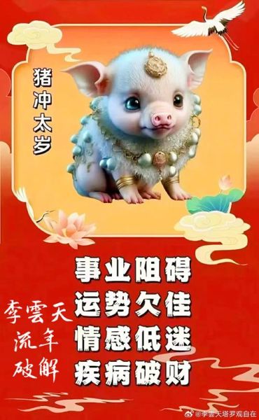 猪年生肖属相相冲（猪年冲什么属相最避坑？）