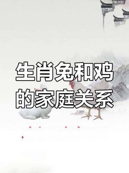 生肖属相配对鸡兔（属鸡和属兔的合不合？吉凶速查🔍）
