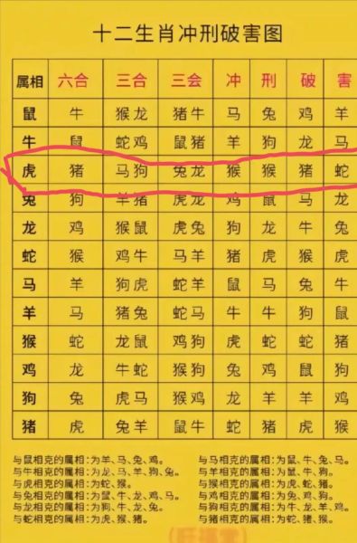 纵横四海是什么属相生肖（纵横四海生肖是什么）