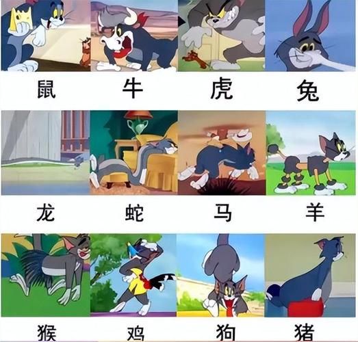 猫生肖属相（猫在十二属相里代表什么生肖？）