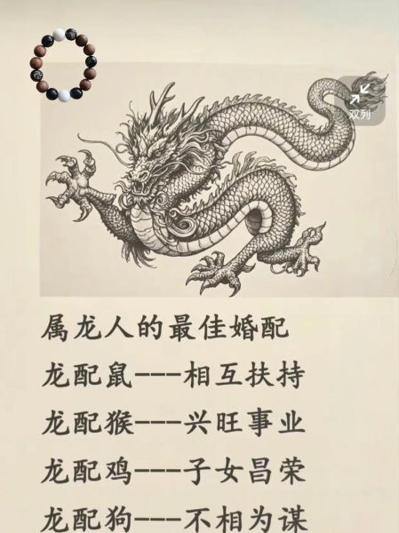 64年生肖龙婚姻配属相（64年属龙最佳婚配属相大揭秘🐉💖）