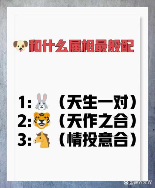 属相狗跟什么生肖配（属相狗跟什么生肖最配夫妻）