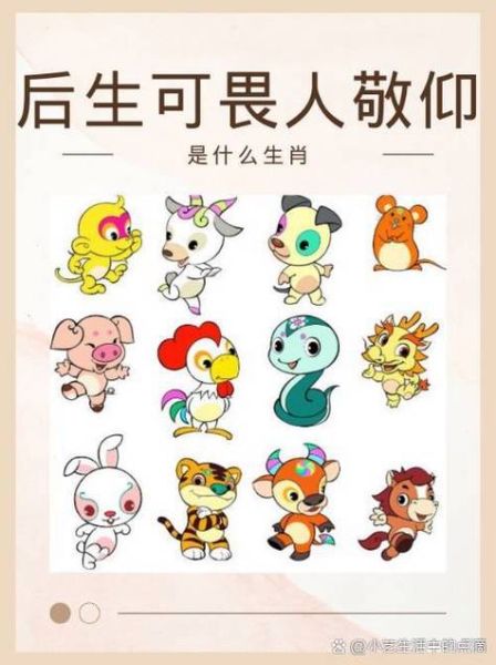 生肖最大的属相（生肖最大的属相是哪个？新手3分钟看懂）