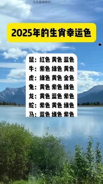 属相查询生肖颜色（2025年属马幸运颜色查询表最新版）