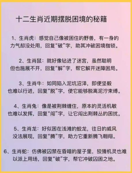十二生肖有强迫症的属相（十二生肖谁有强迫症）