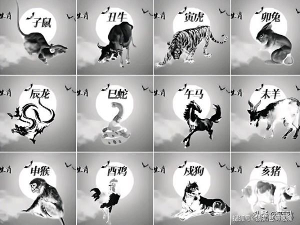 十二生肖有强迫症的属相（十二生肖谁有强迫症）