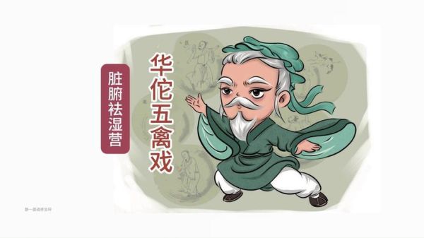 华佗属相属什么生肖（华佗属什么生肖）