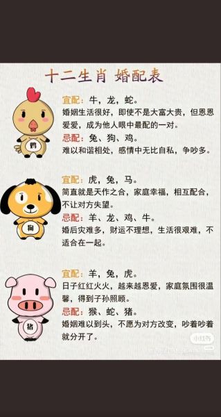 雌性属什么生肖属相（雌性属什么生肖属相？）