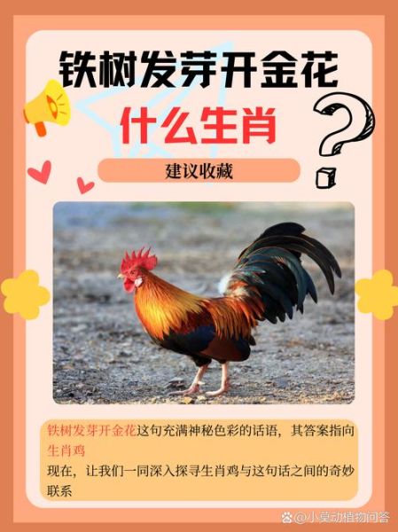 马铁生肖属相（马铁生肖属性到底是什么？小白秒懂版📊）