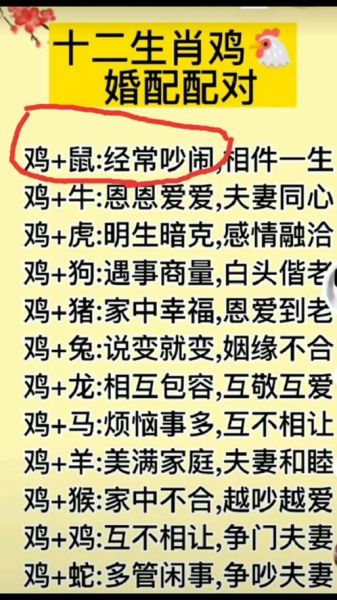 生肖不合不能婚配的属相（生肖不合的属相有哪些？）
