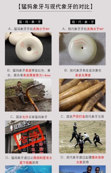 猛犸生肖搭配什么属相（猛犸和什么属相最配）