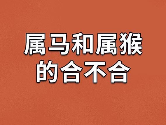生肖猴不合属相(生肖猴和什么属相不合)