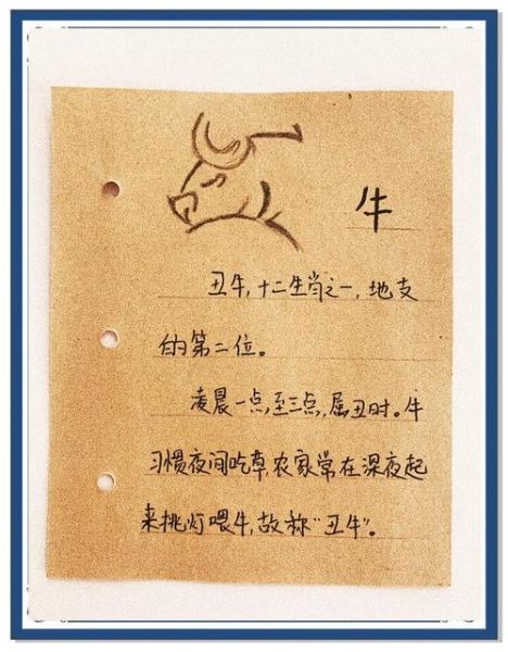 丑时生肖属相是什么（丑时是属什么生肖？🐮）